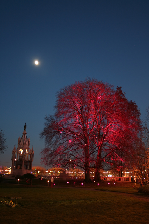 Geneva LED Breathing Trees